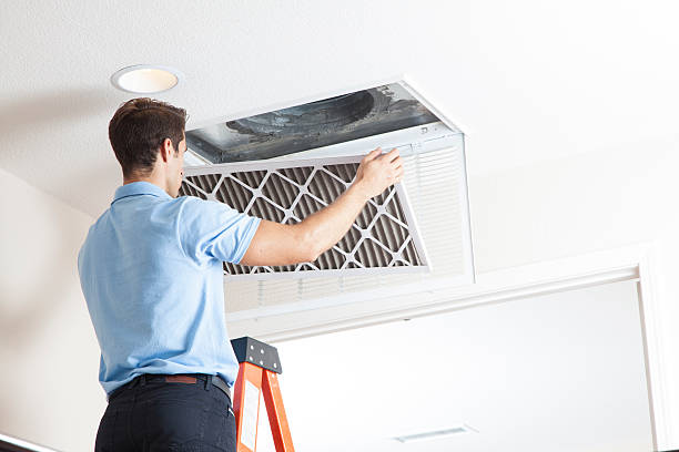 Best Solar-powered HVAC Systems in Horizon City, TX